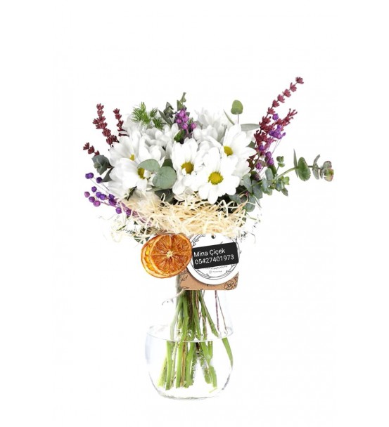 White Daisy in a Vase